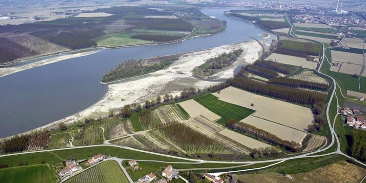 Mincio e Po: escursioni alla scoperta della biodiversità dei fiumi mantovani