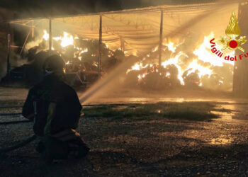 Rogo nell’azienda agricola: a fuoco nella notte 300 rotoballe di fieno