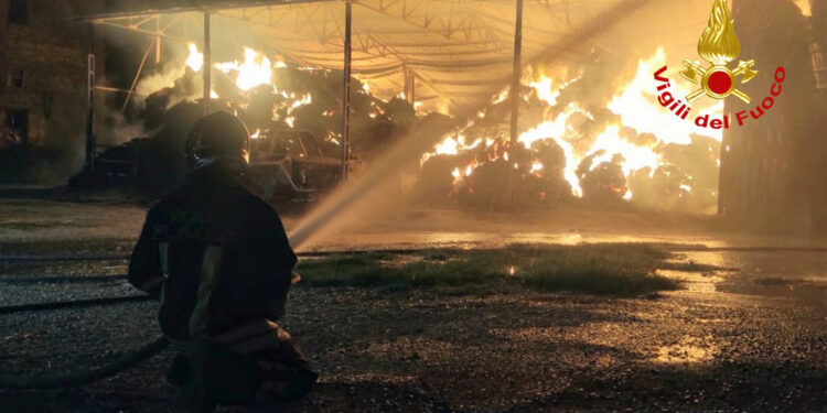 Rogo nell’azienda agricola: a fuoco nella notte 300 rotoballe di fieno