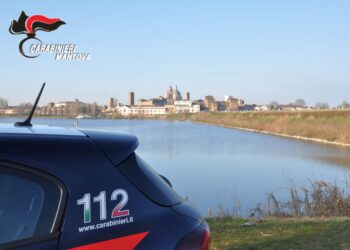 Nel panificio i carabinieri del Nas trovano varie carenze: scatta la sanzione