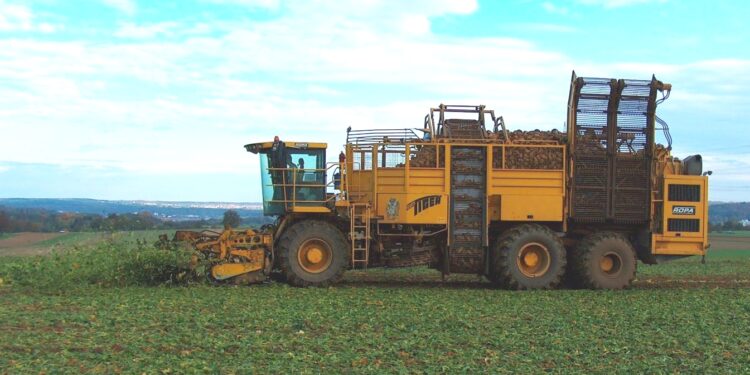 Barbabietole, Coldiretti Mantova: produzione a macchia di leopardo e rischi dal Mercosur