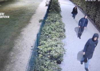 Vanno a rubare le bibite allo bar del Martelli, ma uno si amputa un dito: tre denunciati