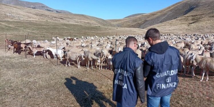 Maxi frode all’Unione Europea su contributi alle aziende agricole