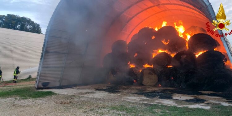 Scoppia il rogo nell’azienda agricola: a fuoco le rotoballe