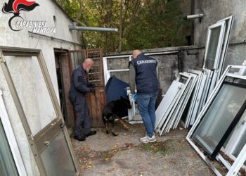 Abitazioni al setaccio dei carabinieri con i cani antidroga: scattano le denunce
