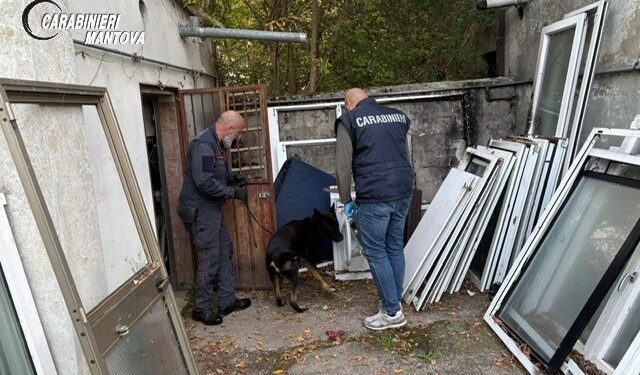 Abitazioni al setaccio dei carabinieri con i cani antidroga: scattano le denunce