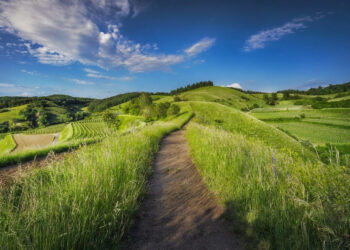 Ue-Mercosur, 145 eurodeputati chiedono parere Corte Giustizia su accordo