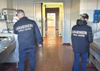 AZIENDA DI LAVORAZIONE CARNI SOSPESA PER LAVORATORI IRREGOLARI, GRAVI VIOLAZIONI SULLA SICUREZZA E LAVORAZIONE ALIMENTI