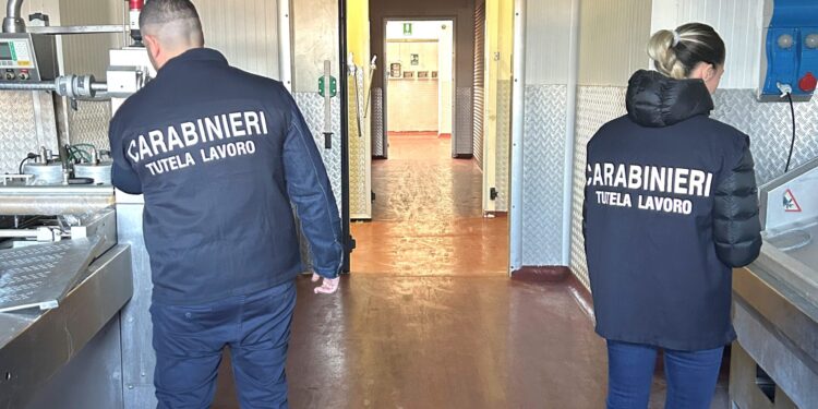 AZIENDA DI LAVORAZIONE CARNI SOSPESA PER LAVORATORI IRREGOLARI, GRAVI VIOLAZIONI SULLA SICUREZZA E LAVORAZIONE ALIMENTI