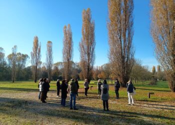 Un laboratorio per gli over 65 alla Foresta della Carpaneta