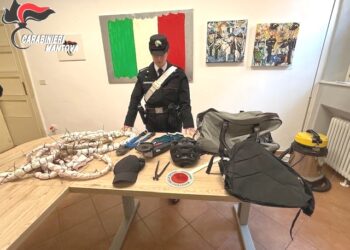 Ladro acrobata si cala nel negozio dal tetto ma rimane intrappolato