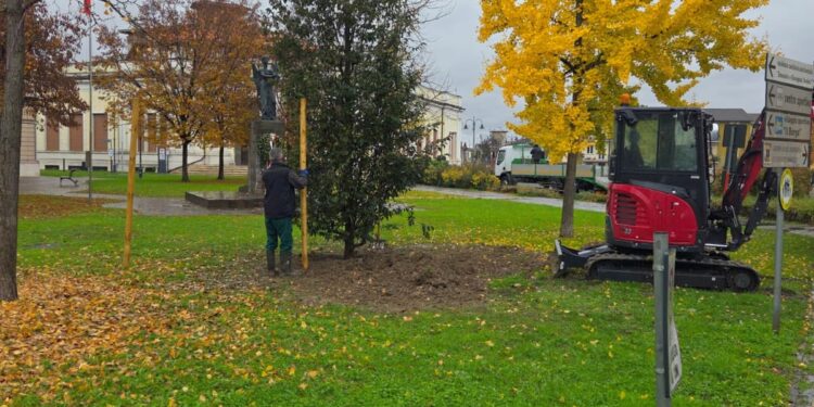 Tre nuovi lecci piantumati a Marmirolo per la Giornata nazionale degli alberi