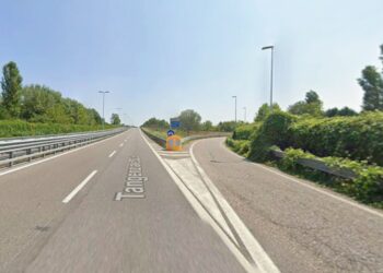 Scatta la manutenzione del verde lungo la tangenziale sud di Mantova