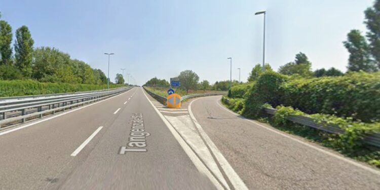 Scatta la manutenzione del verde lungo la tangenziale sud di Mantova