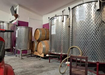 VINO, IL LAMBRUSCO DI GORZONI PROTAOGNISTA IN TOSCANA