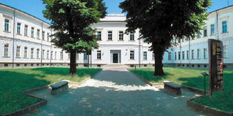 Viadana: ecco tutti gli eventi di gennaio in programma al MuVi