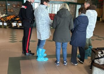 Carenze igienico-sanitarie e un lavoratore in nero: stop all’attività del bazar