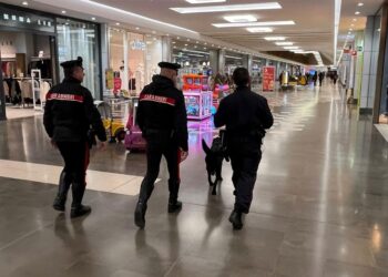 Controlli dei carabinieri (anche cinofili) a Mantova e nei comuni limitrofi