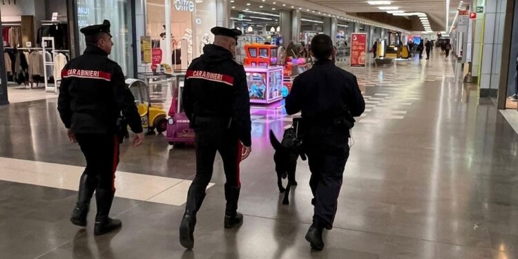 Controlli dei carabinieri (anche cinofili) a Mantova e nei comuni limitrofi