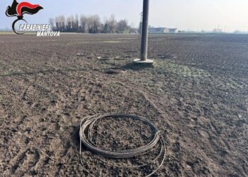 Ladri di rame in azione: via 10 chilometri di cavi dai tralicci