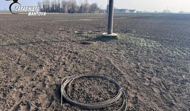 Ladri di rame in azione: via 10 chilometri di cavi dai tralicci