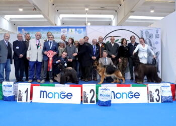 È il Kerry Blue Terrier Brykar Tramore ad aggiudicarsi il titolo di Virgilio Winner 2026