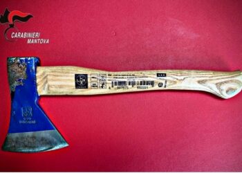 I Cc lo fermano e lui si dà alla fuga per 10 km, poi i militari scoprono che in auto aveva un’accetta