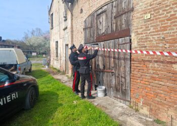 Creano una discarica abusiva in casa: denunciati padre 76enne e figlio 30enne