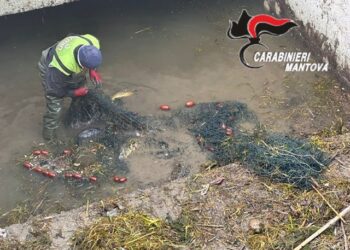 Beccati a pesca senza autorizzazioni: scatta la denuncia