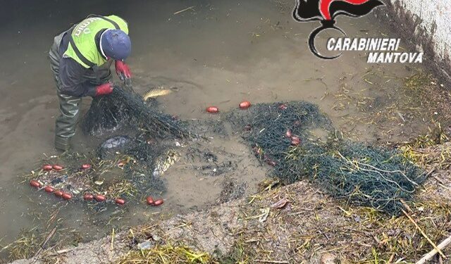 Beccati a pesca senza autorizzazioni: scatta la denuncia