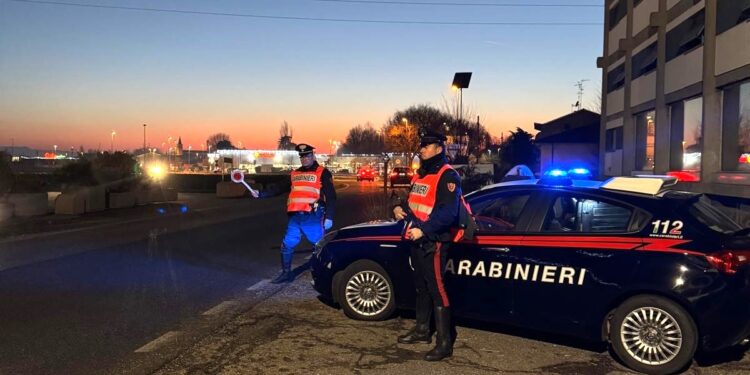 Travolge un cane col furgone e lo uccide: denunciato per uccisione di animale