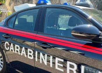 ASOLA: I CARABINIERI ARRESTANO UN 62ENNE PER RESISTENZA A PUBBLICO UFFICIALE
