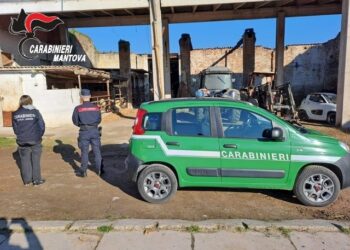 Controlli dei carabinieri in tutto l’Alto Mantovano: segnalazioni e denunce