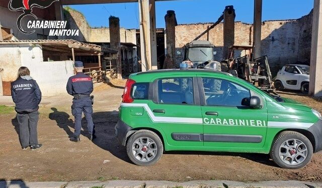 Controlli dei carabinieri in tutto l’Alto Mantovano: segnalazioni e denunce