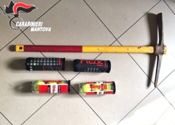 Banda di ragazzini assalta l’associazione a picconate per rubare merendine e coca cola\