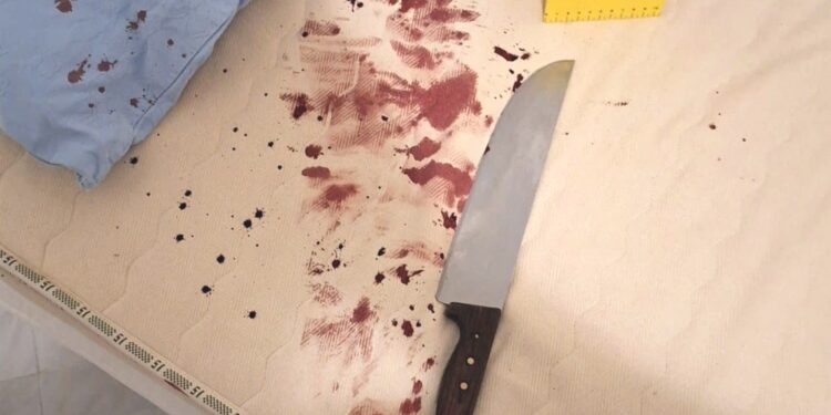Accoltella il fratello nel sonno: arrestata per tentato omicidio