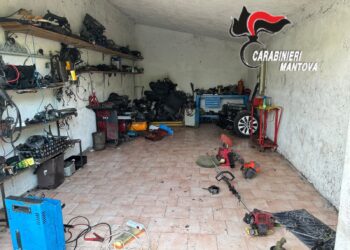 Furto nell’azienda agricola: i carabinieri incastrano due dei tre ladri