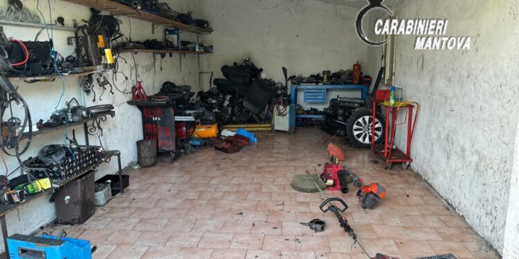 Furto nell’azienda agricola: i carabinieri incastrano due dei tre ladri