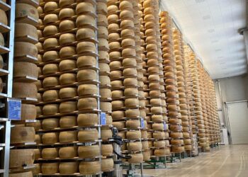 I MAGAZZINI GENERALI FIDUCIARI DEL GRUPPO MONTEPASCHI CRESCONO PER SUPPORTARE IL SETTORE LATTIERO-CASEARIO