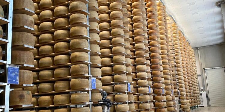 I MAGAZZINI GENERALI FIDUCIARI DEL GRUPPO MONTEPASCHI CRESCONO PER SUPPORTARE IL SETTORE LATTIERO-CASEARIO