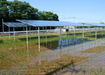 MAXI-IMPIANTO AGRIVOLTAICO A CERESARA: CONFAGRICOLTURA MANTOVA CONTESTA IL PROGETTO