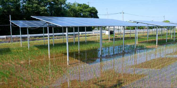MAXI-IMPIANTO AGRIVOLTAICO A CERESARA: CONFAGRICOLTURA MANTOVA CONTESTA IL PROGETTO