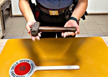 Scatena il caos nel bar. Arrivano i carabinieri e gli trovano anche una mazza da muratore