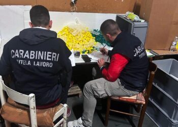 Operai come schiavi pagati nove euro per 12 ore di lavoro
