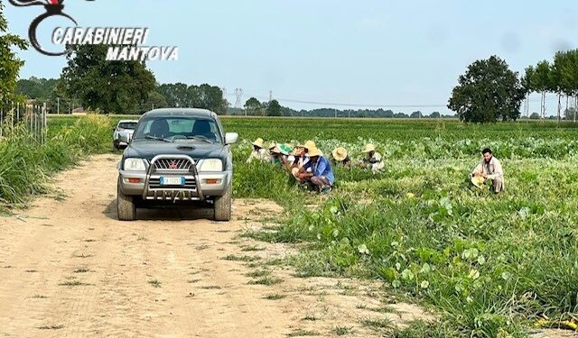 Colto da malore mentre raccoglie angurie, muore bracciante agricolo