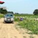 Colto da malore mentre raccoglie angurie, muore bracciante agricolo