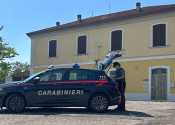 Armato di coltello, blocca il treno: denunciato dai carabinieri