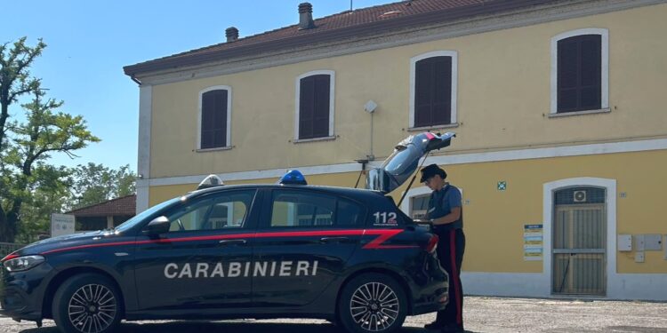 Armato di coltello, blocca il treno: denunciato dai carabinieri