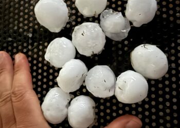 Maltempo, Coldiretti Mantova: bombe di ghiaccio sulle campagne