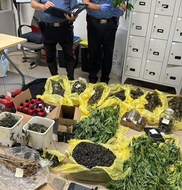 Dà fuoco a un’auto, arrivano i carabinieri e scoprono una coltivazione di marijuana